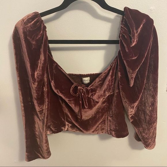 ARITZIA Wilfred Novella Long-sleeve Velvet Velour Blouse Truffle Brown ~ sz 4 47 - Picture 2 of 9